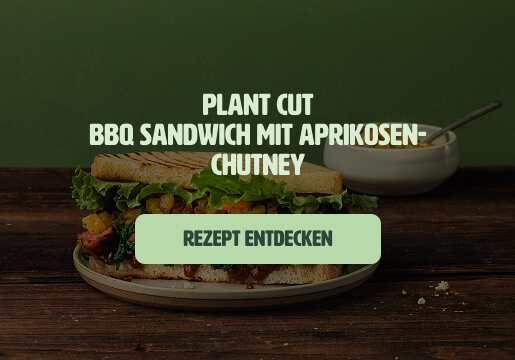 bbq_sandwich_de